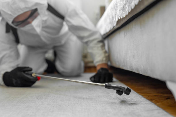 Professional Emergency Pest Control technician working in Nichols Hills, OK