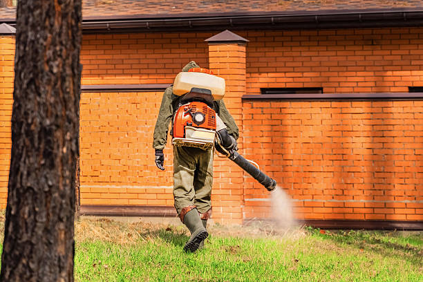 Trusted Bed Bug Control service in Nichols Hills, OK - Nex Pest Control